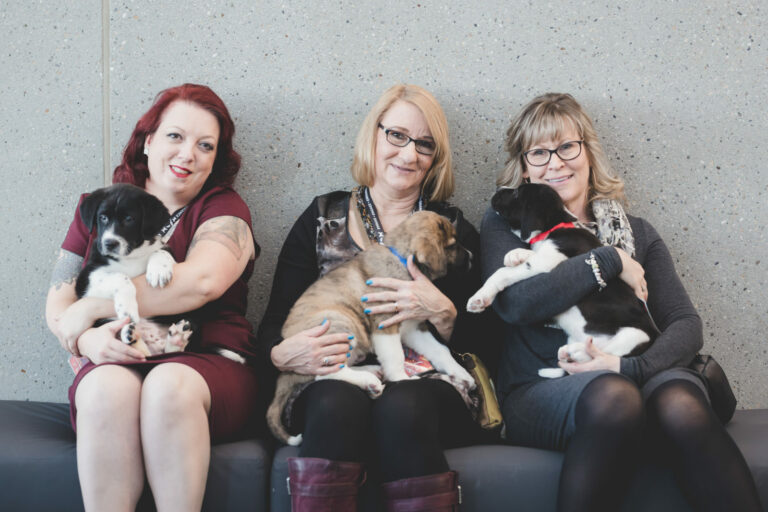 Paws & Claws Gala Coventry Homes Edmonton