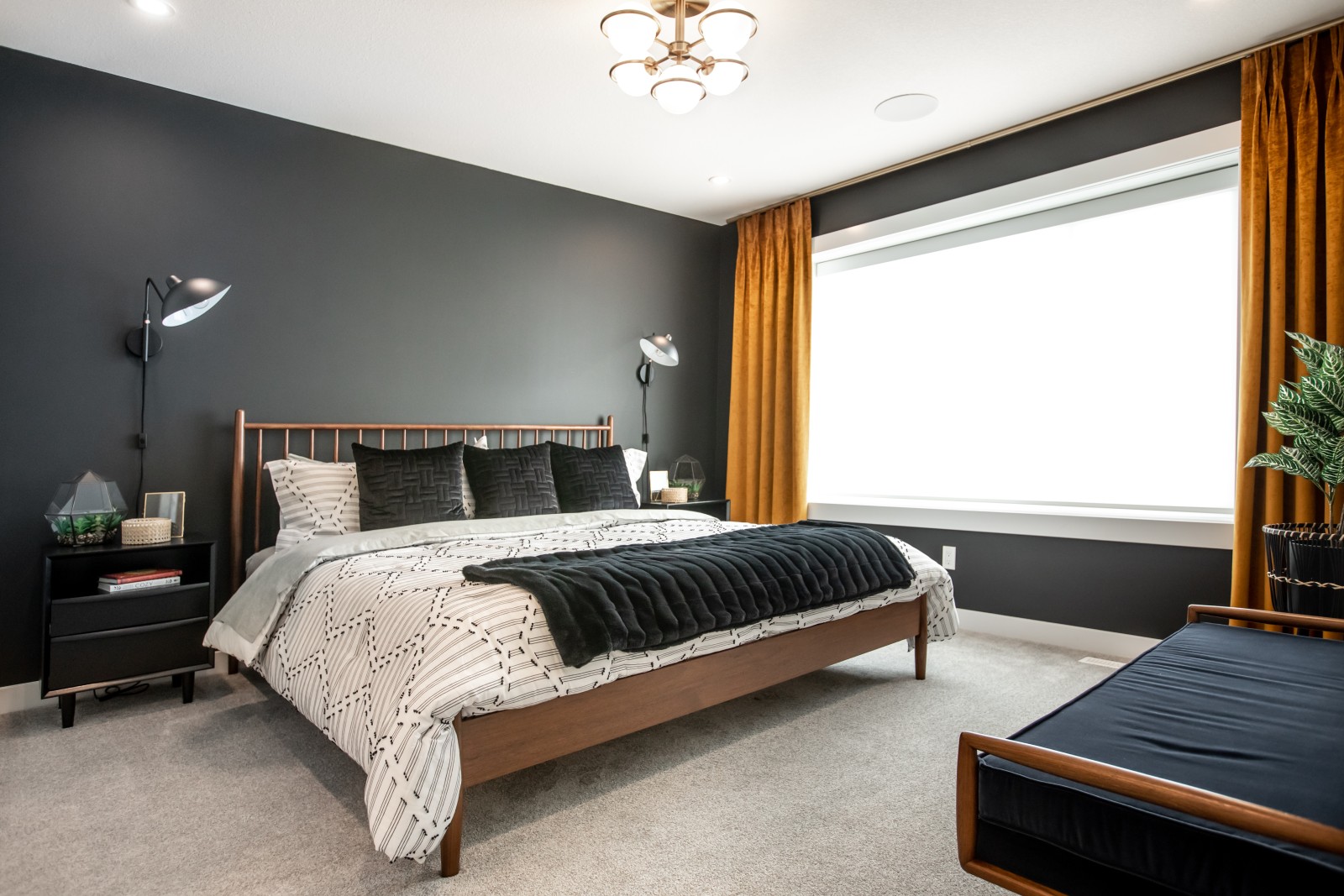 Bold master bedroom with black walls and rich gold curtains with mid century inspired bed